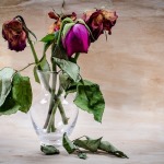 flower grieving
