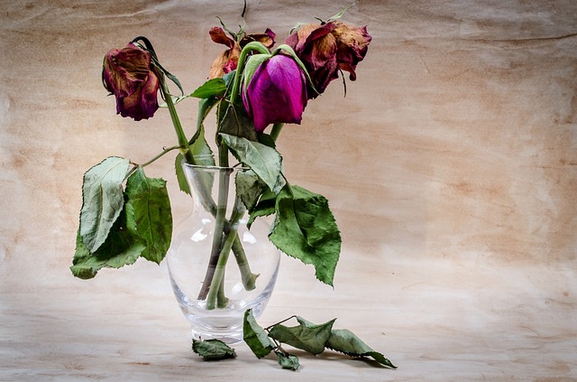 flower grieving