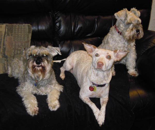 Kaylee Freckles and River
