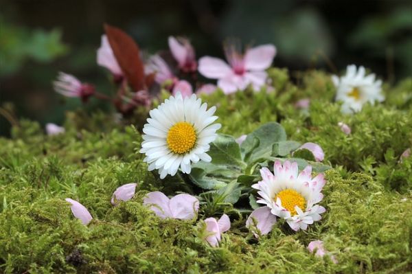 Self-care and getting help