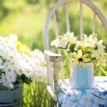 summer allergy relief