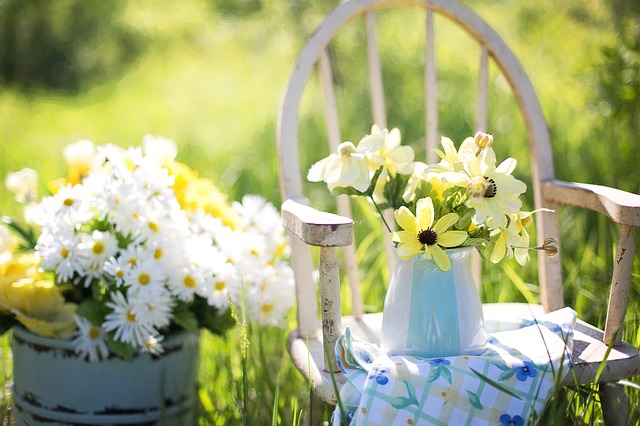 summer allergy relief