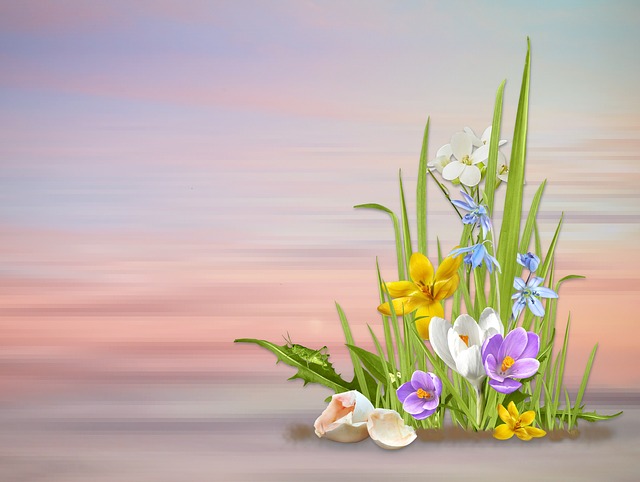 Spring and magnesium