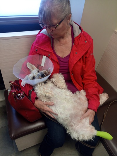 Sue and dog